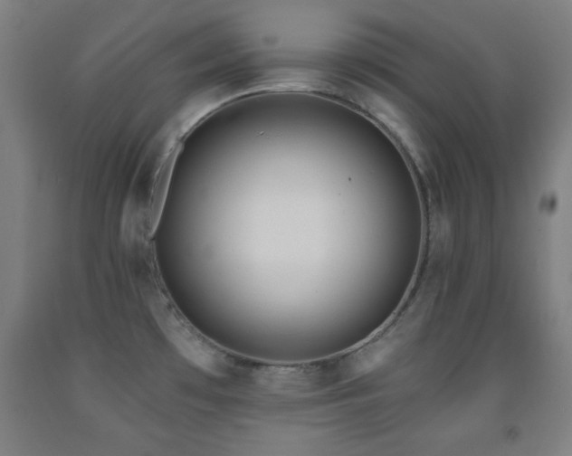 X0000093261481200709261721