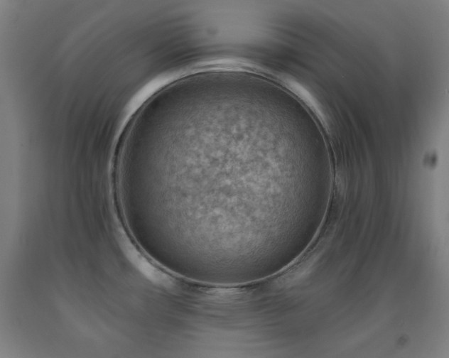 X0000093261482200709261721
