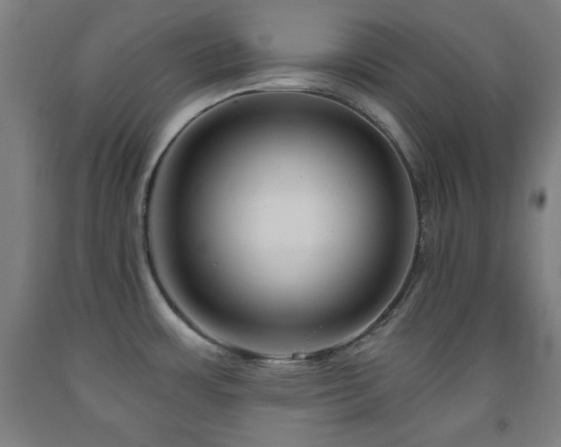 X0000093261483200709261721