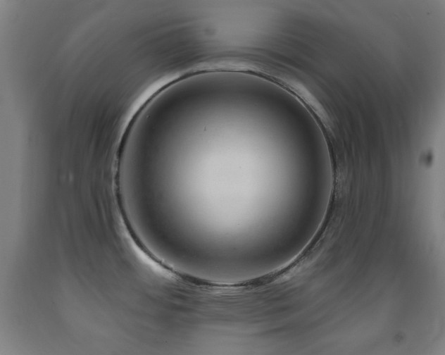 X0000093261484200709261721