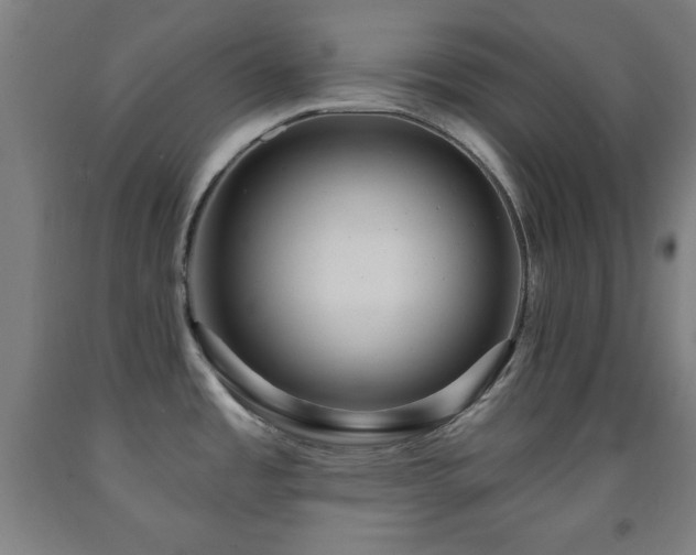 X0000093261485200709261721