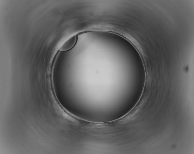 X0000093261486200709261721