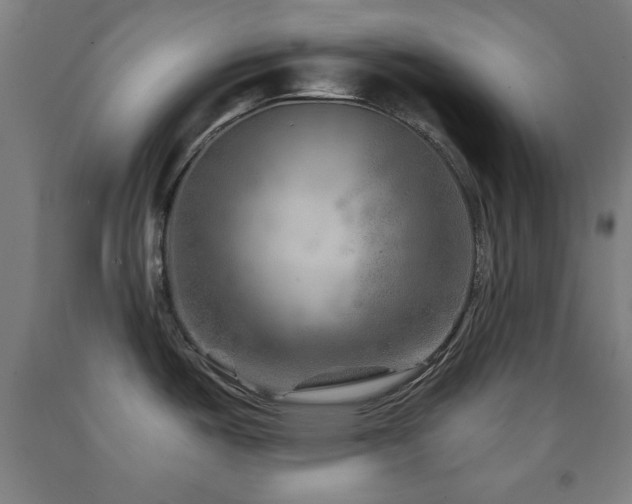 X0000093261487200709261721