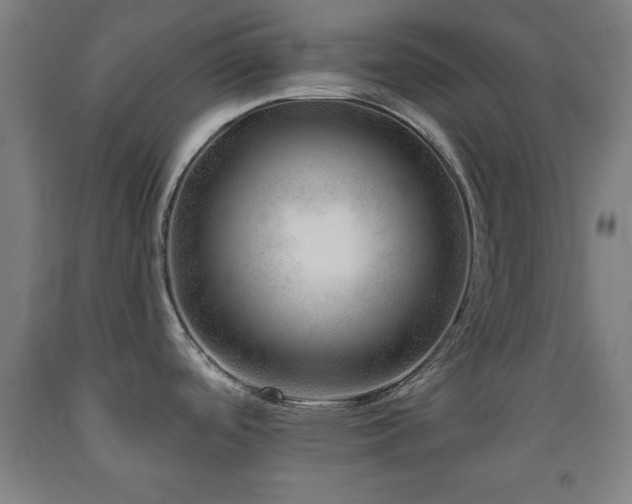 X0000093261488200709261721