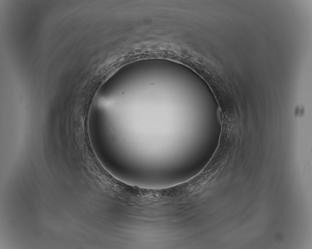 X0000093261489200709261720