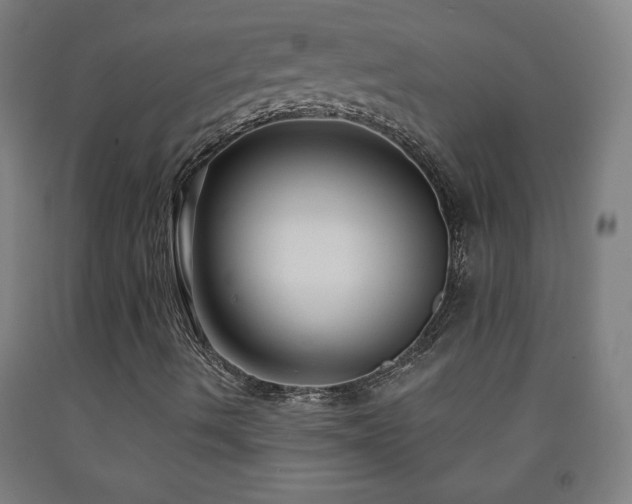 X0000093261490200709261720
