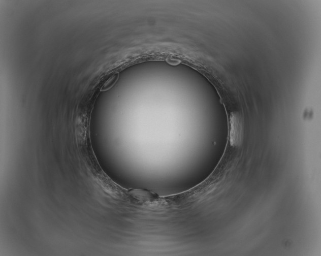 X0000093261491200709261720