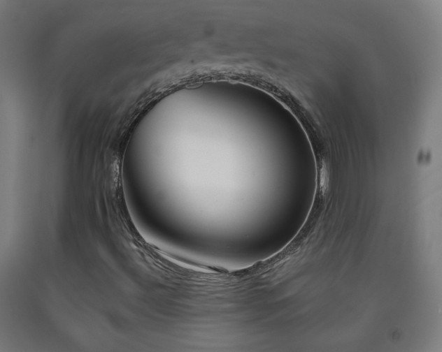 X0000093261492200709261720