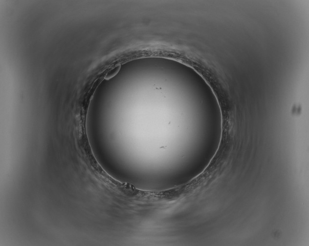 X0000093261493200709261720