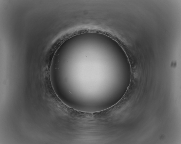 X0000093261495200709261720