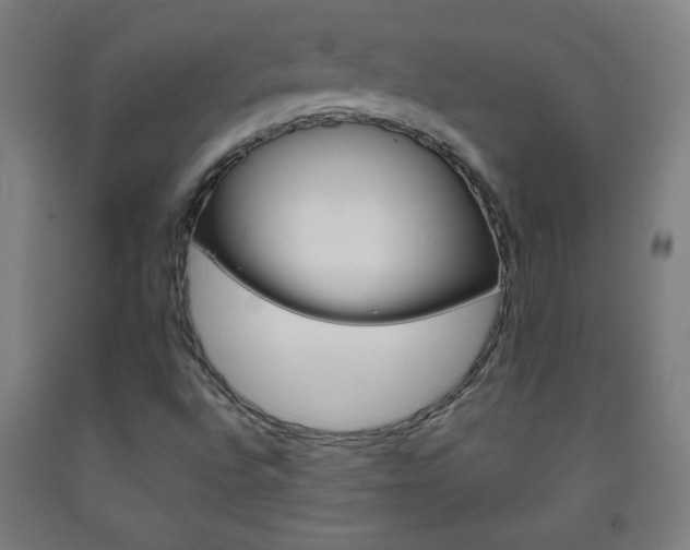 X0000093261496200709261720