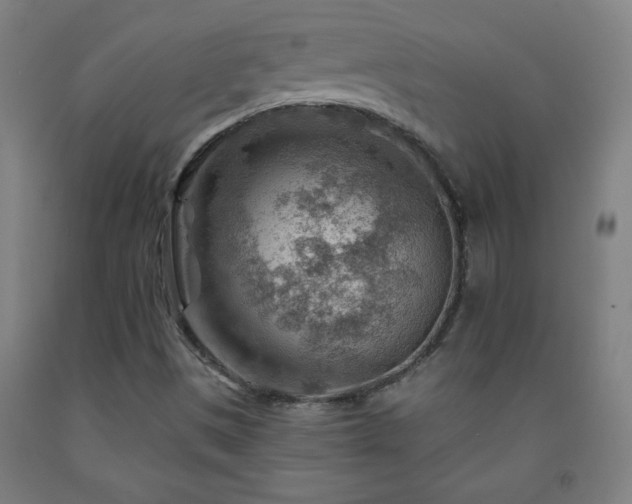 X0000093261497200709261720