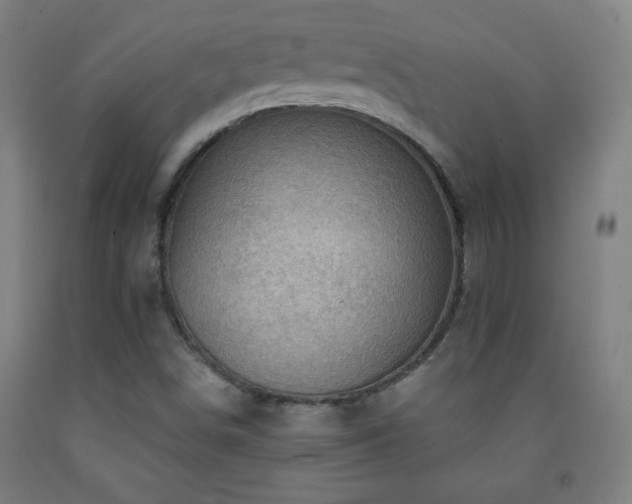 X0000093261498200709261720