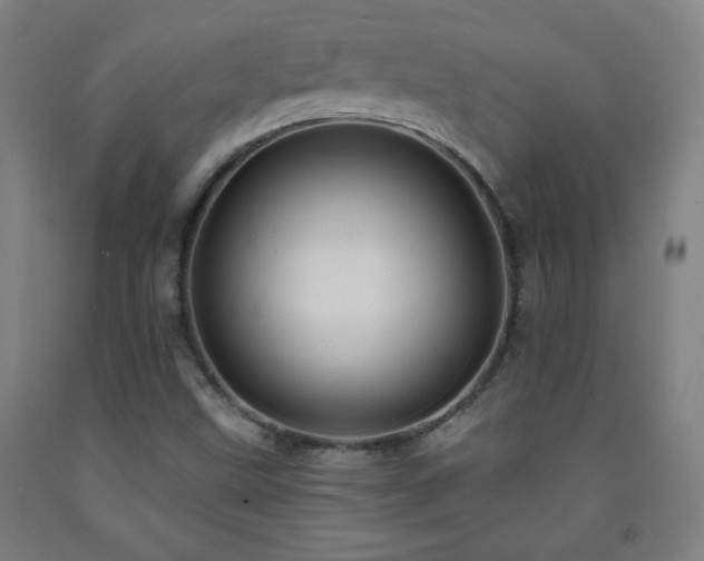 X0000093261499200709261720