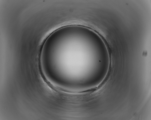 X0000093261500200709261720