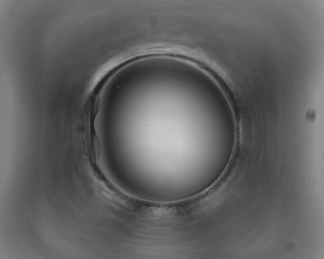 X0000093261501200709261720