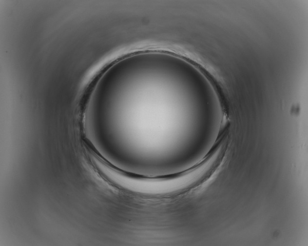 X0000093261502200709261720