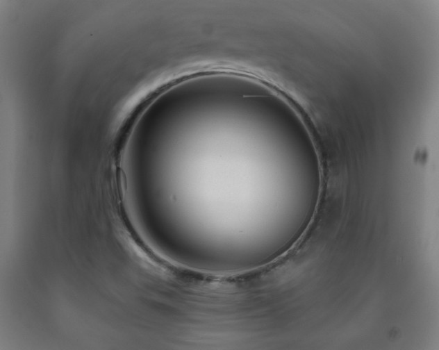 X0000093261503200709261720