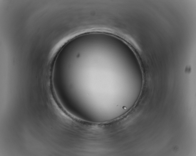 X0000093261504200709261721