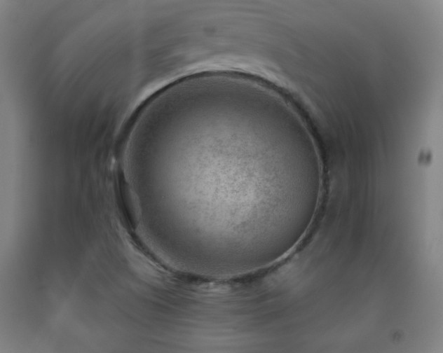 X0000093261505200709261721