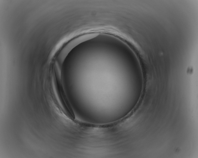 X0000093261506200709261721