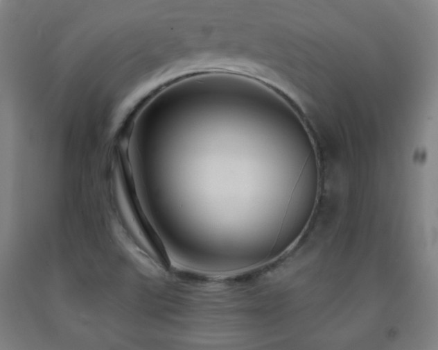 X0000093261507200709261721