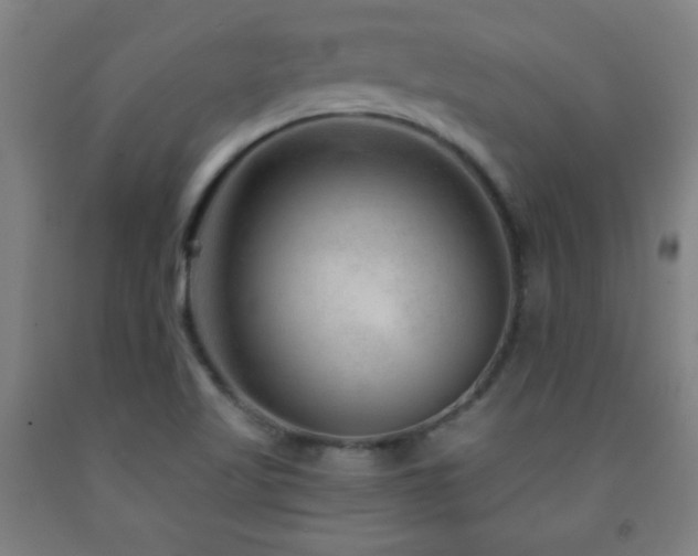 X0000093261509200709261721