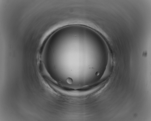 X0000093261510200709261721