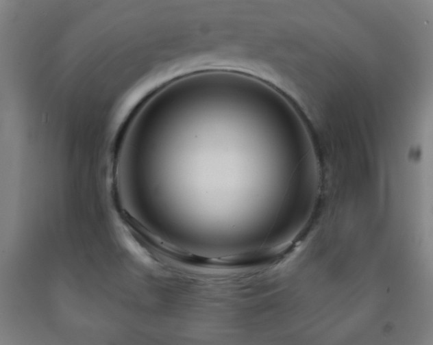 X0000093261511200709261721