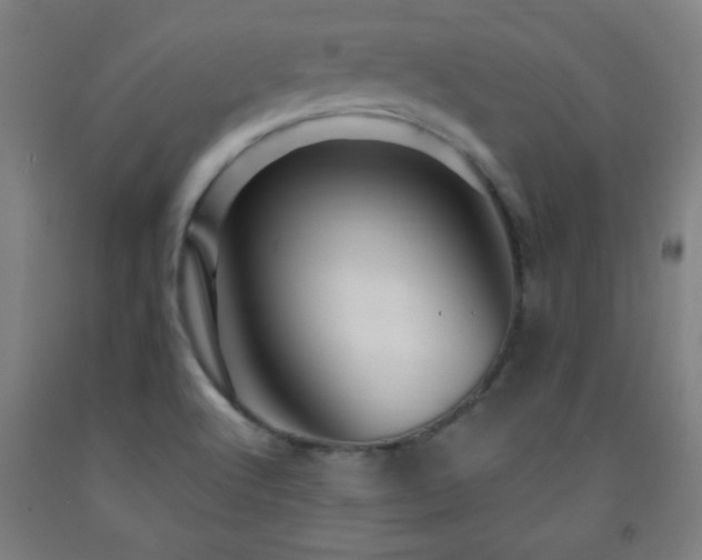 X0000093261512200709261721