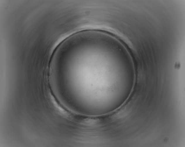 X0000093261513200709261721