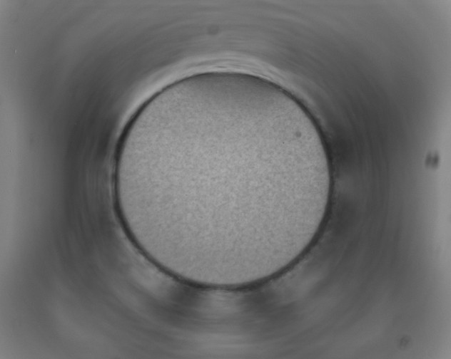 X0000093261514200709261721