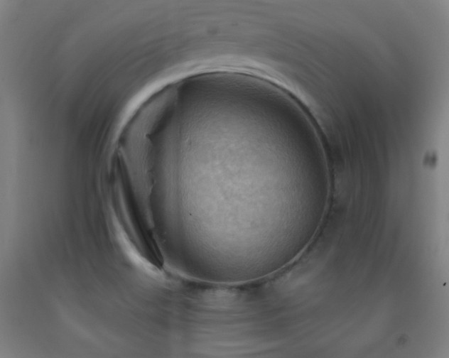 X0000093261515200709261721