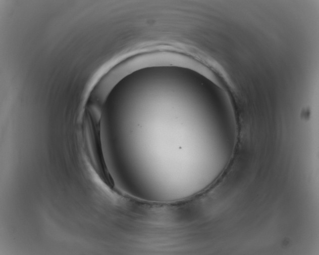 X0000093261516200709261721