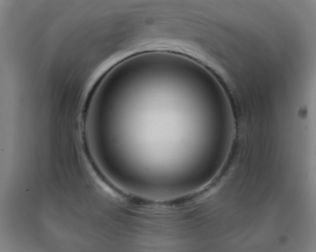X0000093261517200709261721