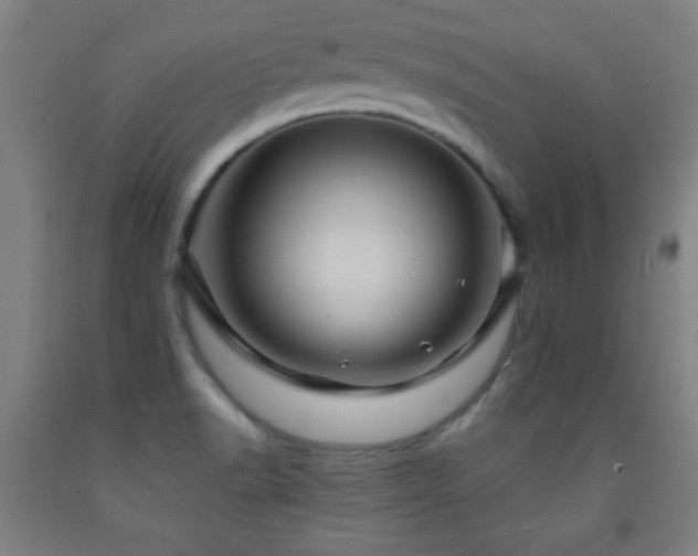 X0000093261518200709261721