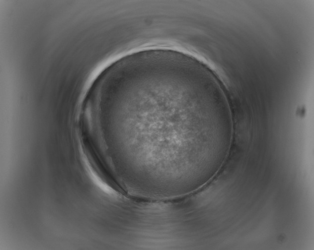 X0000093261519200709261721