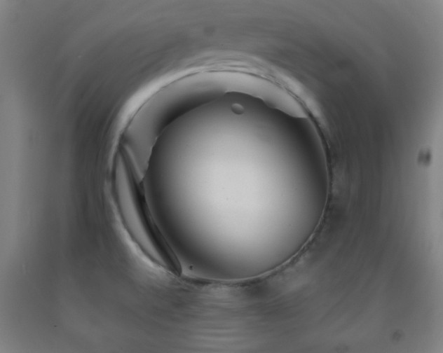 X0000093261520200709261721