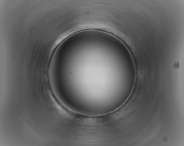 X0000093261521200709261721