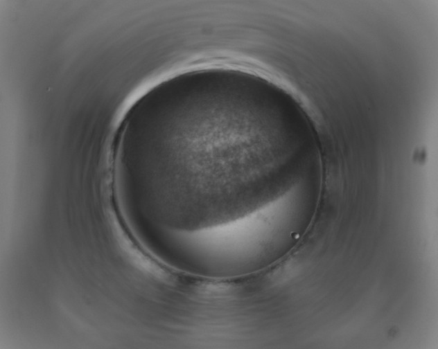 X0000093261522200709261721