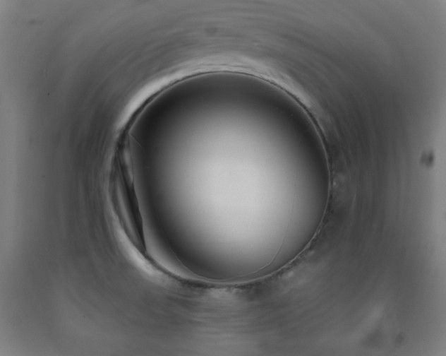 X0000093261523200709261721