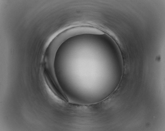 X0000093261524200709261721