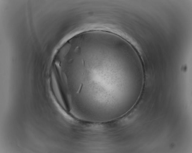 X0000093261525200709261721