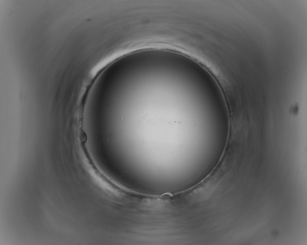 X0000093261526200709261721