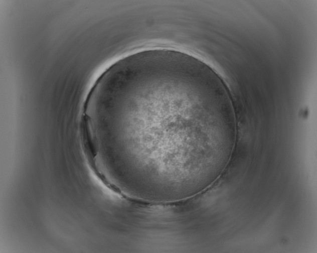 X0000093261527200709261721