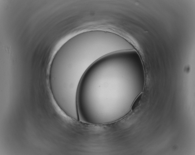 X0000093261528200709261721