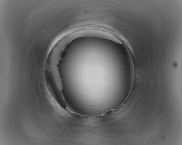X0000093261530200709261721