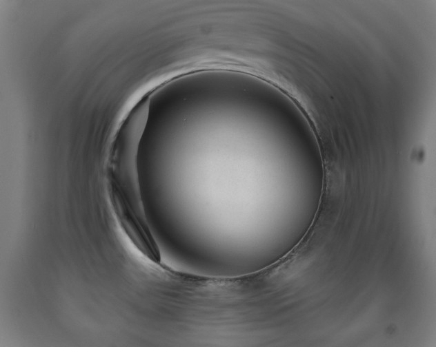 X0000093261531200709261721