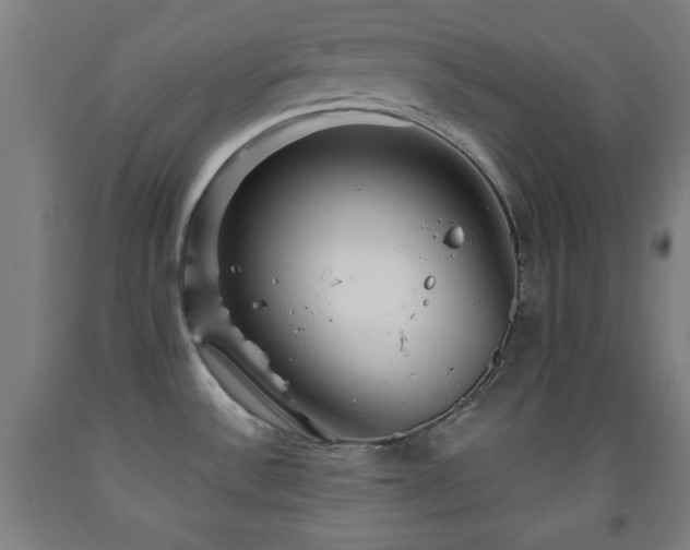 X0000093261532200709261721