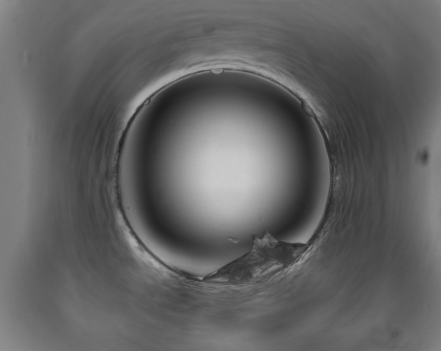 X0000093261534200709261721